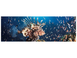 panoramic-canvas-print-lionfish