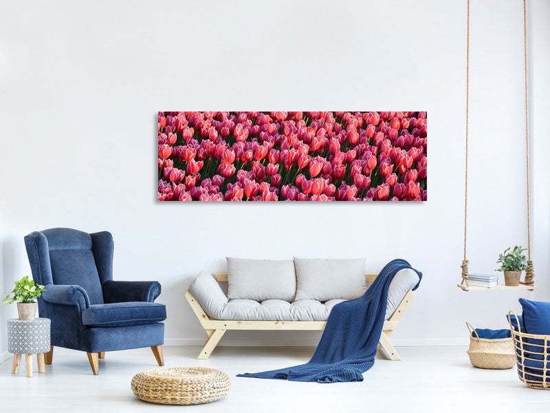 panoramic-canvas-print-lush-tulip-field