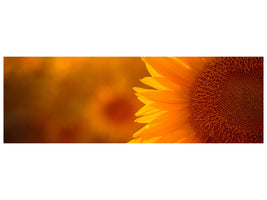 panoramic-canvas-print-macro-sunflower