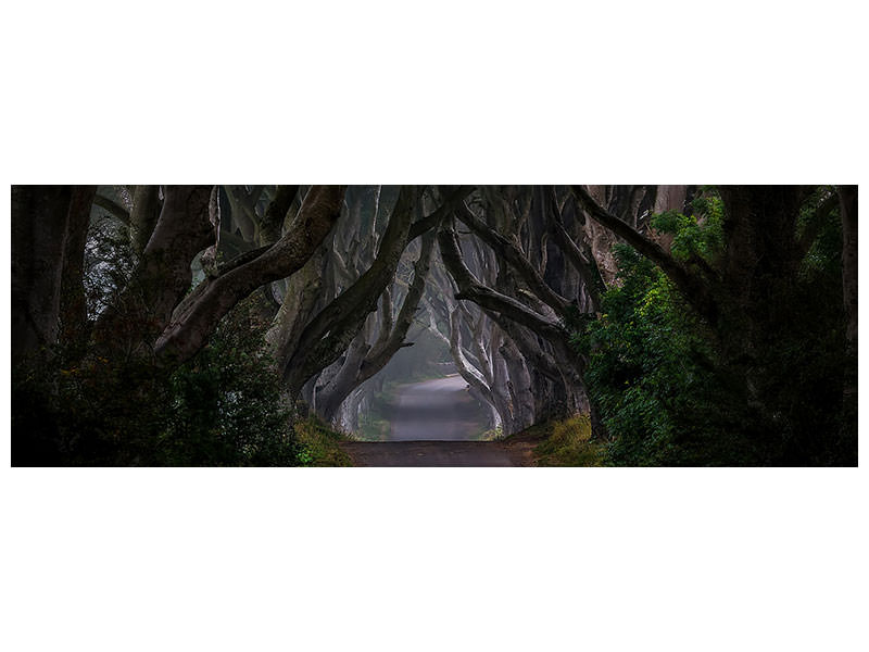 panoramic-canvas-print-magic-road