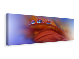 panoramic-canvas-print-metamorphosis