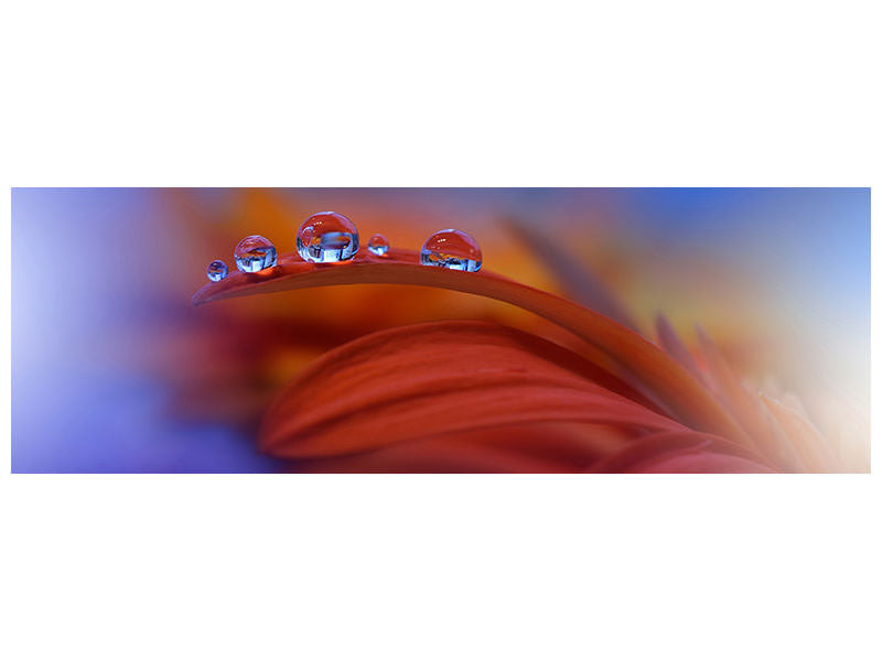 panoramic-canvas-print-metamorphosis