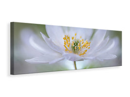 panoramic-canvas-print-nemorosa-nirvana