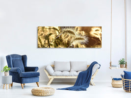 panoramic-canvas-print-ornamental-grass-in-the-sunlight