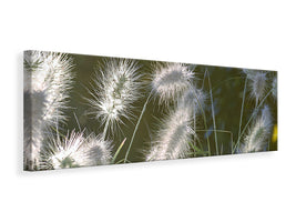 panoramic-canvas-print-ornamental-grasses-in-xl