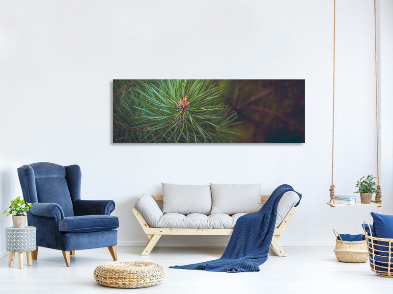 panoramic-canvas-print-pine-tree-close-up