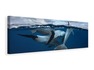 panoramic-canvas-print-pod-of-dolphin-at-the-surface