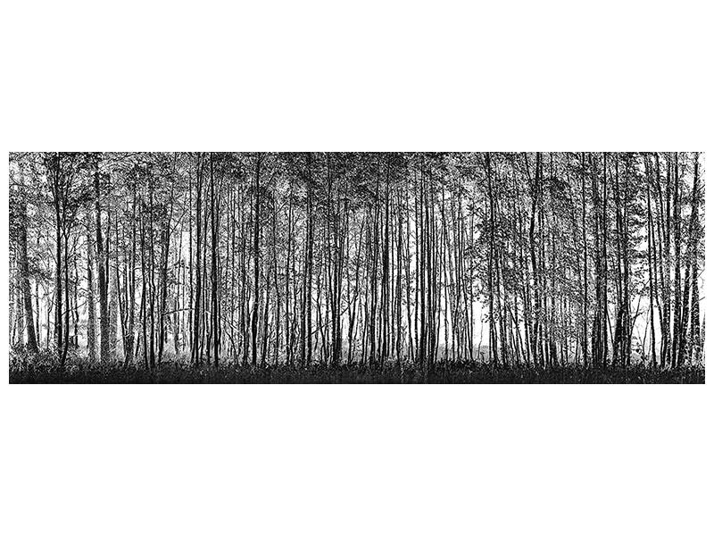 panoramic-canvas-print-pointillism-nature