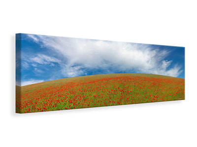 panoramic-canvas-print-red-poppies