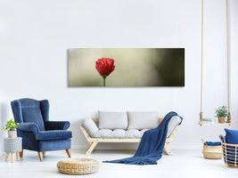 panoramic-canvas-print-red-poppy