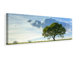 panoramic-canvas-print-spring-tree