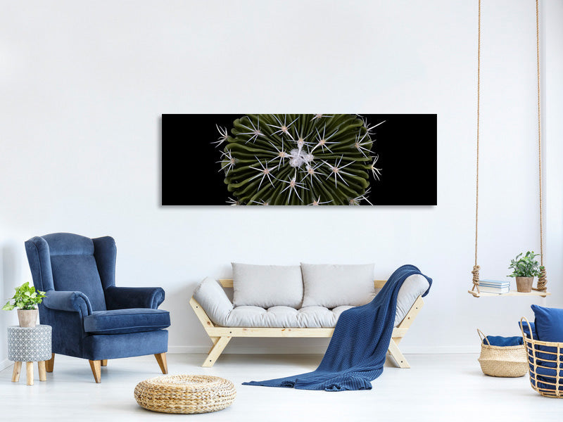 panoramic-canvas-print-stenocactus