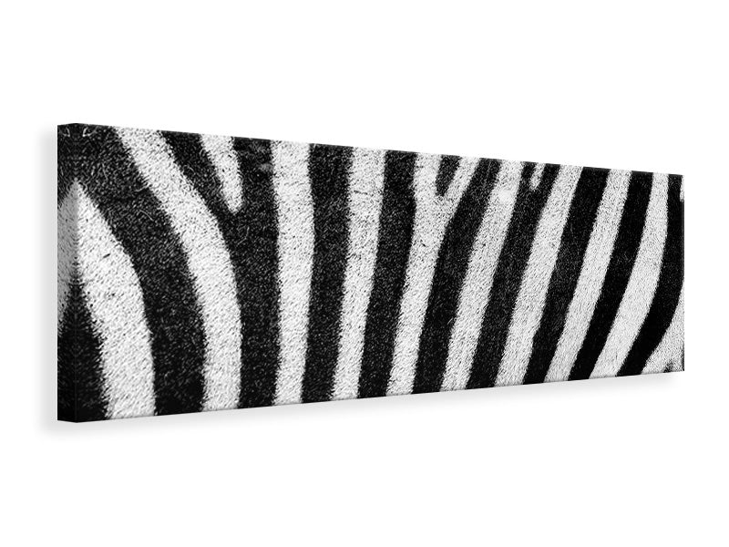 panoramic-canvas-print-strip-of-the-zebra