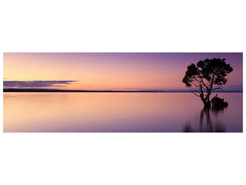 panoramic-canvas-print-sunset-on-the-tree-in-the-water