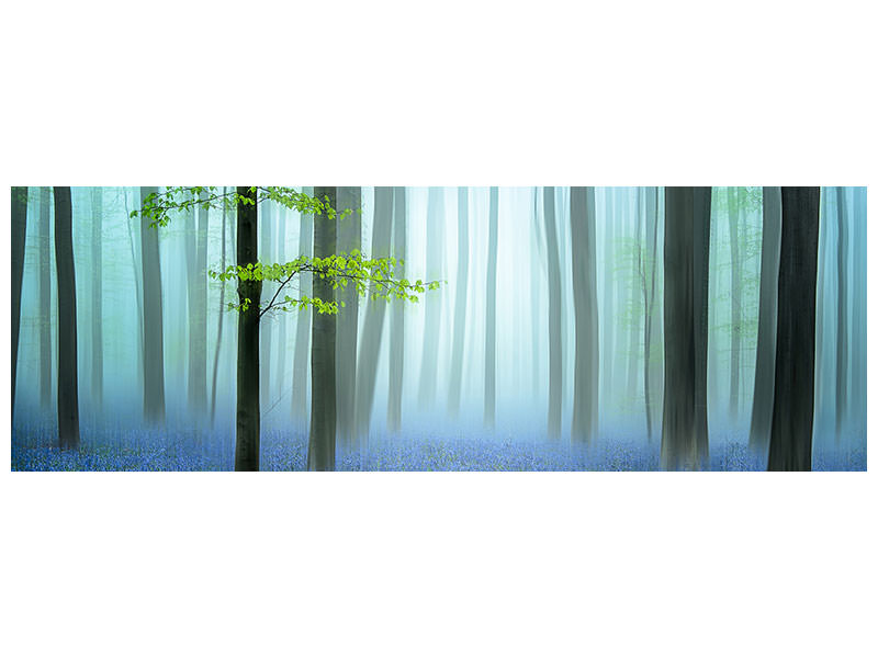 panoramic-canvas-print-the-blue-forest