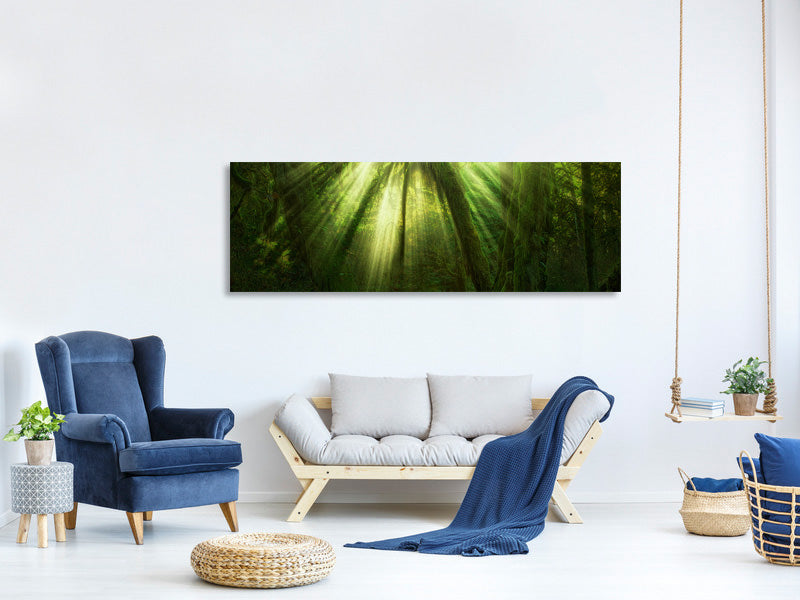 panoramic-canvas-print-the-miracle