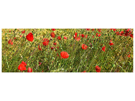 panoramic-canvas-print-the-poppy-in-the-wind