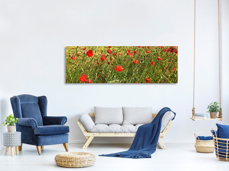 panoramic-canvas-print-the-poppy-in-the-wind