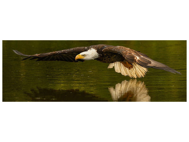 panoramic-canvas-print-the-reflective-pond