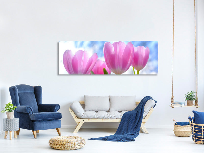 panoramic-canvas-print-tulips-in-nature