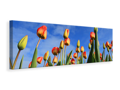 panoramic-canvas-print-tulips-tower-to-the-sky