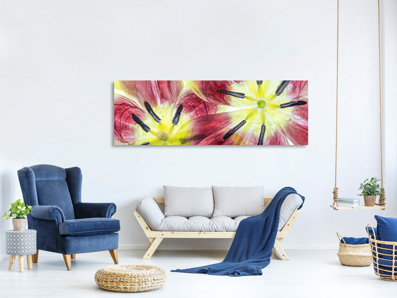 panoramic-canvas-print-tulips