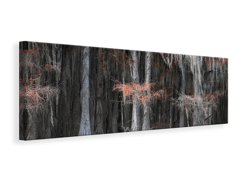 panoramic-canvas-print-untitled-xlviii