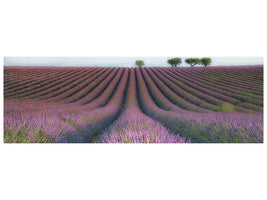 panoramic-canvas-print-velours-de-lavender