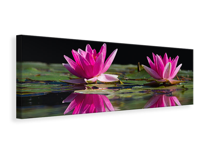 panoramic-canvas-print-water-lilies-duo-in-pink