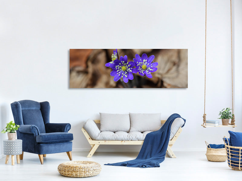 panoramic-canvas-print-wildflowers