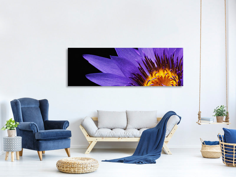 panoramic-canvas-print-xl-water-lily-in-purple