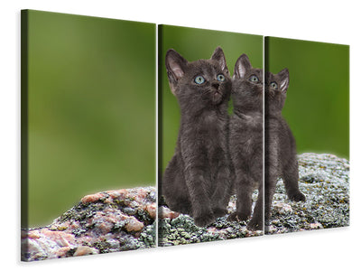 3-piece-canvas-print-2-black-cats-babies