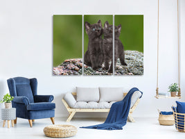 3-piece-canvas-print-2-black-cats-babies