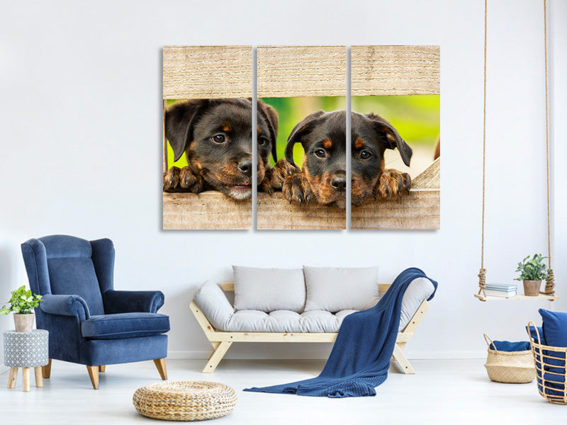 3-piece-canvas-print-2-rottweiler-puppies