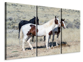 3-piece-canvas-print-3-wild-horses