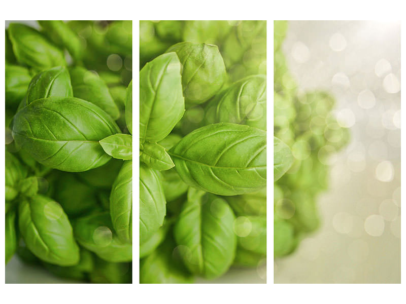 3-piece-canvas-print-a-bouquet-of-basil