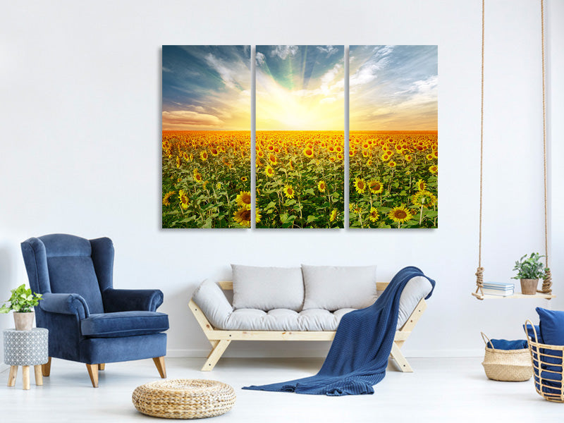 3-piece-canvas-print-a-field-full-of-sunflowers