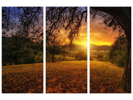 3-piece-canvas-print-a-landscape-in-the-sunset