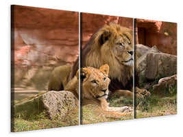 3-piece-canvas-print-a-lion-couple