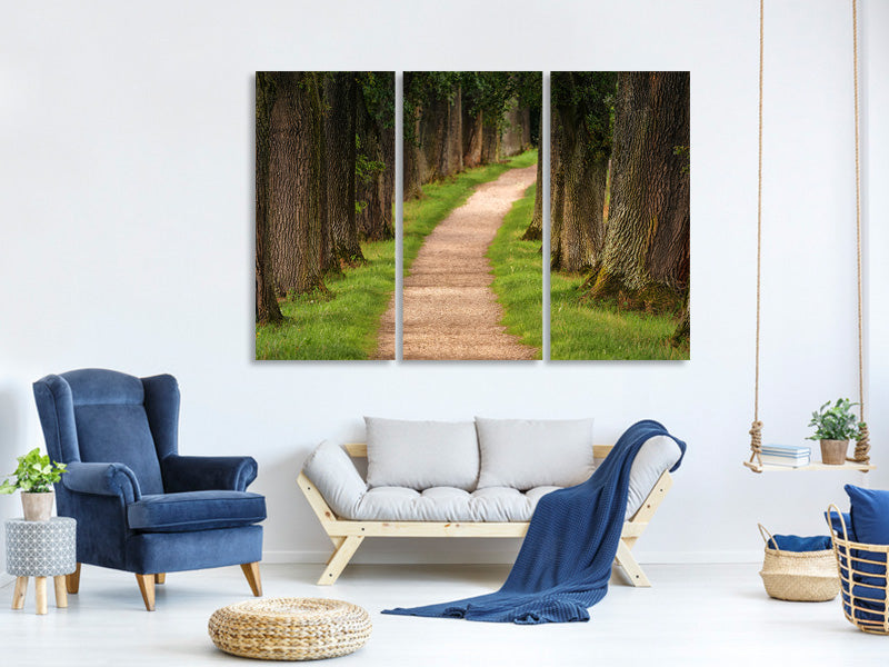 3-piece-canvas-print-a-path-in-the-forest