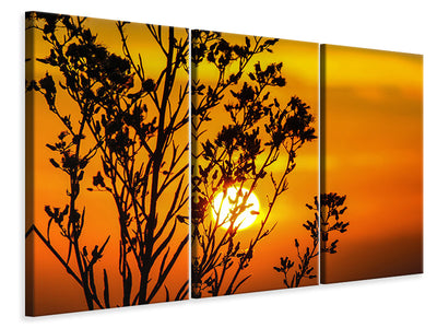 3-piece-canvas-print-a-shrub-in-the-sunset