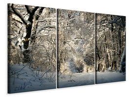 3-piece-canvas-print-a-winter-dream