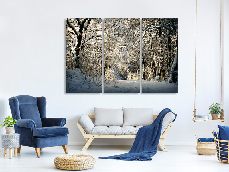 3-piece-canvas-print-a-winter-dream