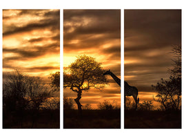 3-piece-canvas-print-african-dreams