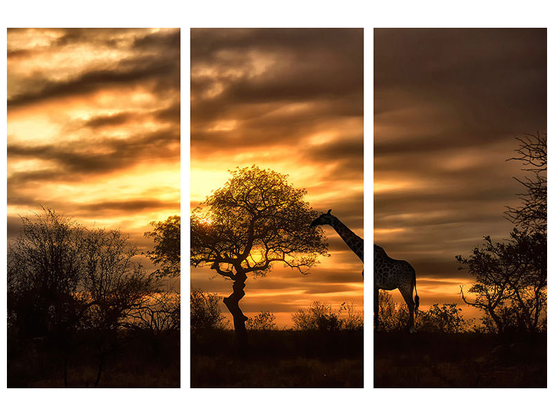 3-piece-canvas-print-african-dreams