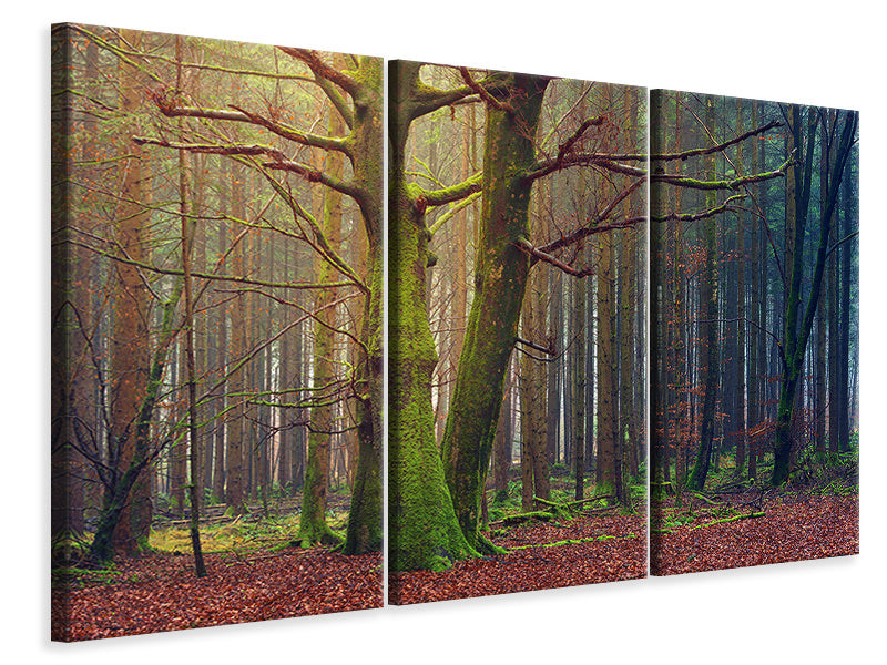 3-piece-canvas-print-alone-in-the-woods