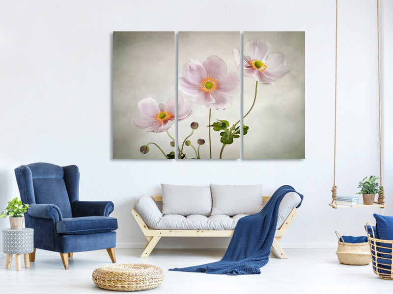 3-piece-canvas-print-anemones-ii