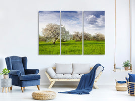 3-piece-canvas-print-apple-tree-garden