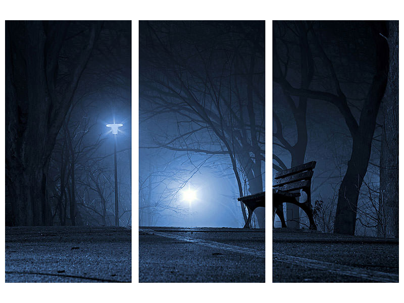 3-piece-canvas-print-at-night-in-the-park