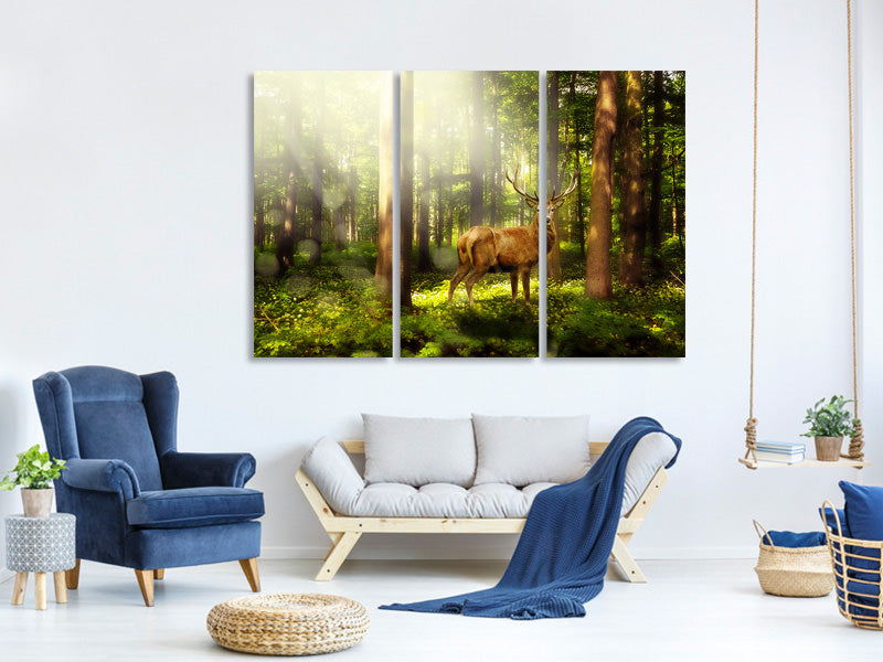 3-piece-canvas-print-attention-deer